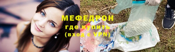 стаф Богданович