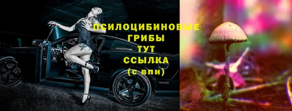 таблы Богородицк