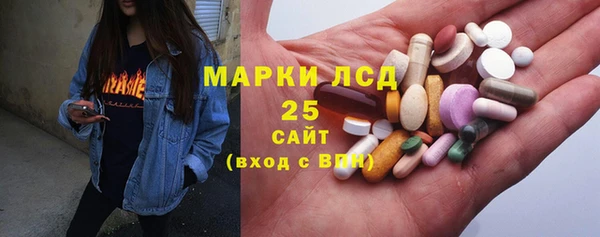 стаф Богданович