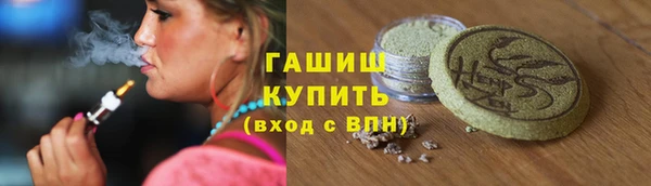 стаф Богданович
