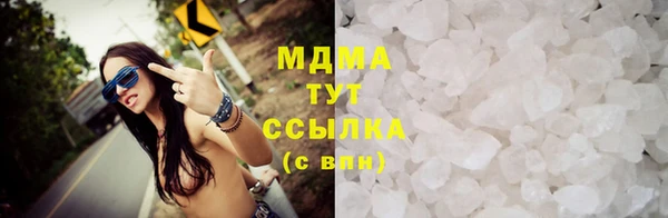стаф Богданович