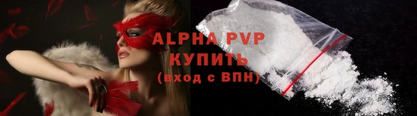 стаф Богданович