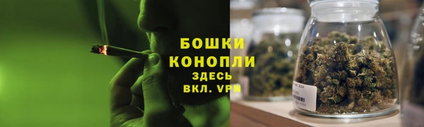 стаф Богданович