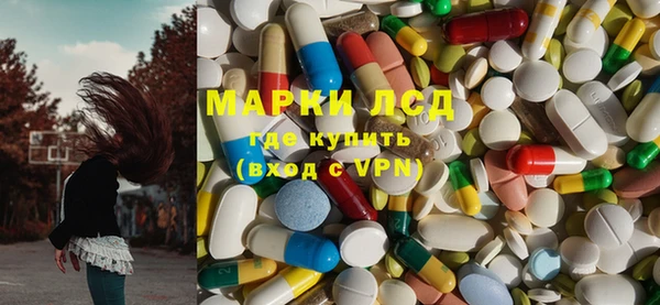 стаф Богданович