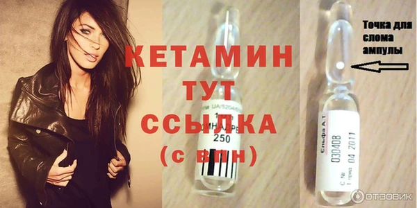 стаф Богданович