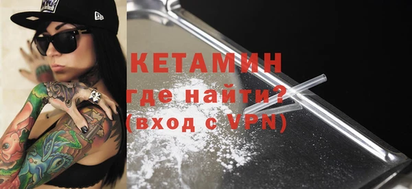 стаф Богданович