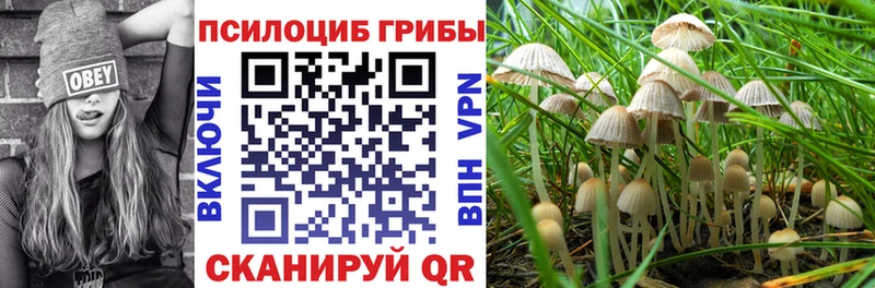Галлюциногенные грибы GOLDEN TEACHER  Купить где  Теберда 